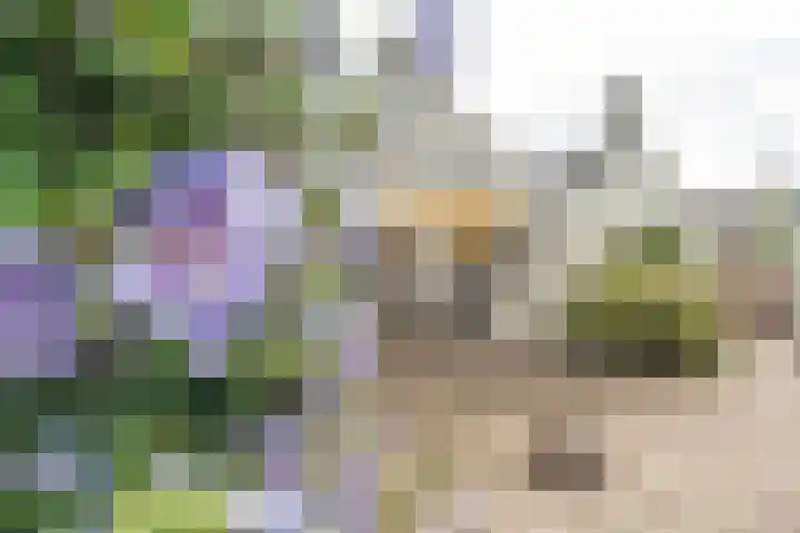 Damstraat 96 Yerseke thumbnail 42