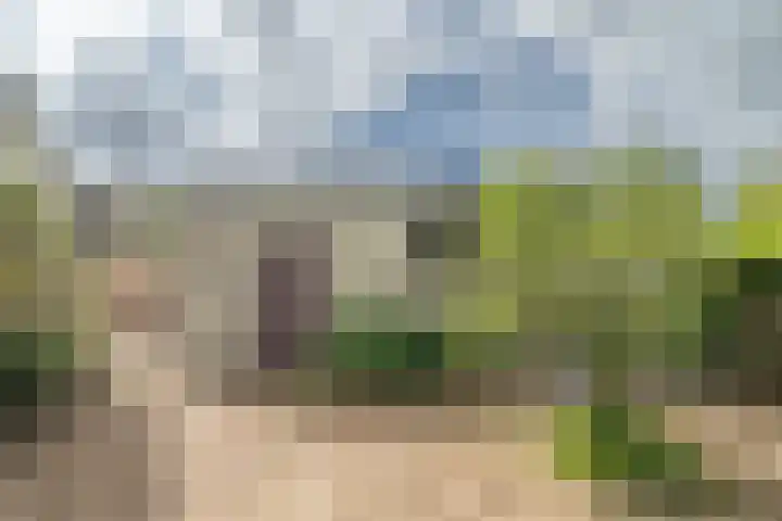 Damstraat 96 Yerseke thumbnail 43