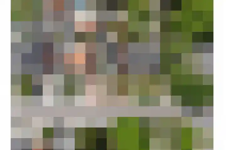 Damstraat 96 Yerseke thumbnail 47