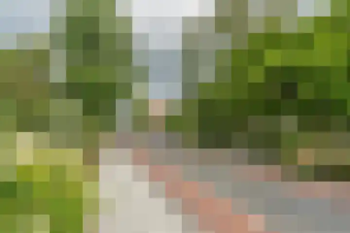 Damstraat 96 Yerseke thumbnail 50