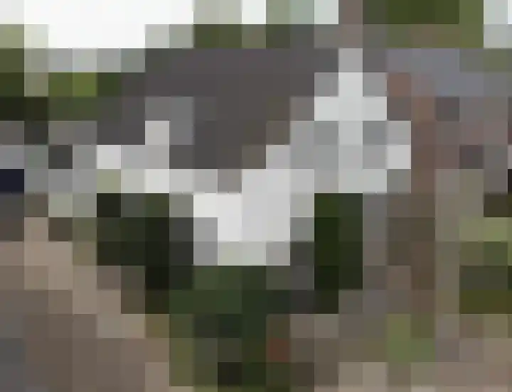 Damstraat 96 Yerseke thumbnail 6