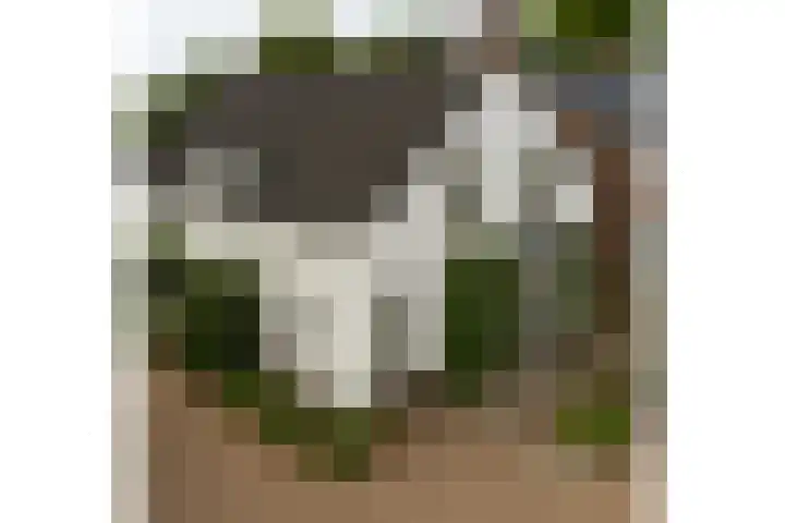 Damstraat 96 Yerseke thumbnail 7