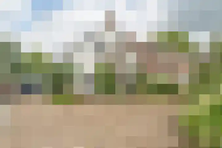 Damstraat 96 Yerseke thumbnail 8