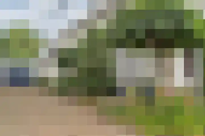 Damstraat 96 Yerseke thumbnail 9