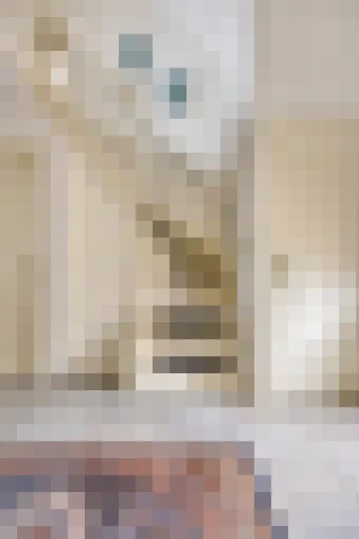 Damvelden 4 Best thumbnail 10
