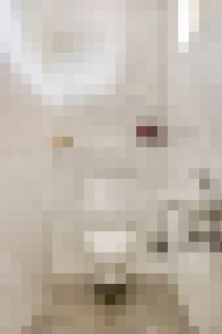 Damvelden 4 Best thumbnail 11