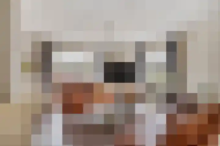 Damvelden 4 Best thumbnail 14
