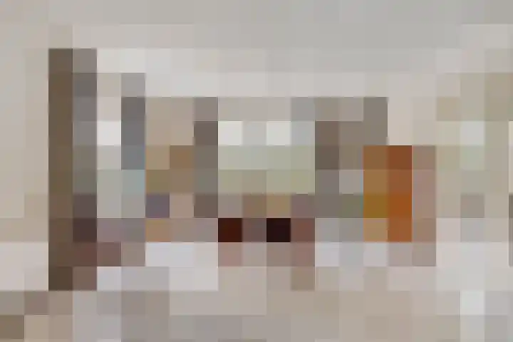 Damvelden 4 Best thumbnail 18