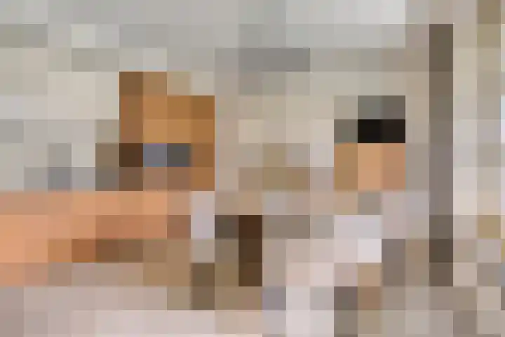 Damvelden 4 Best thumbnail 23