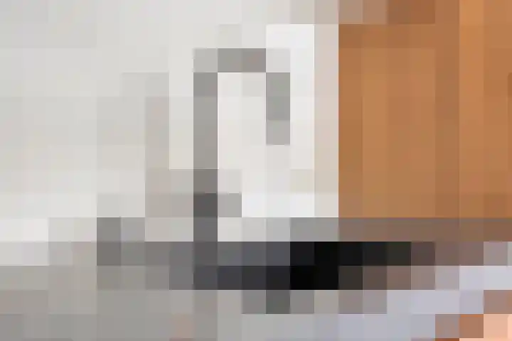 Damvelden 4 Best thumbnail 25