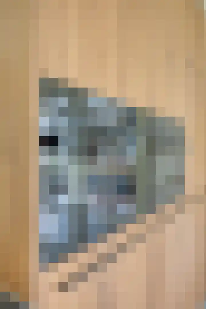 Damvelden 4 Best thumbnail 26