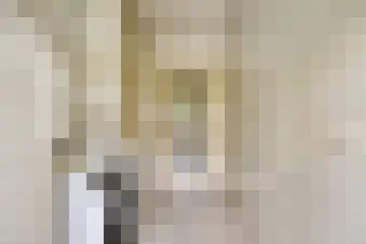 Damvelden 4 Best thumbnail 30