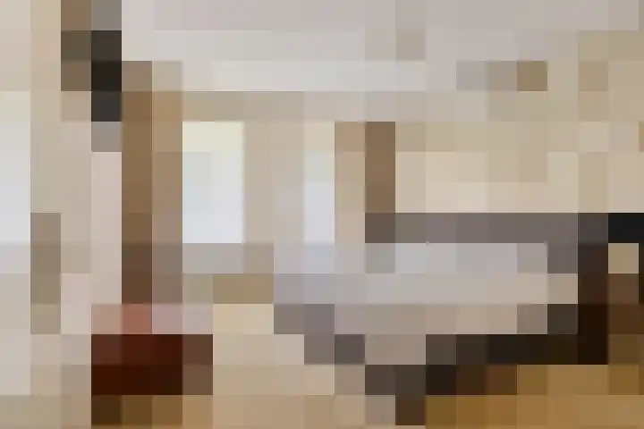 Damvelden 4 Best thumbnail 31
