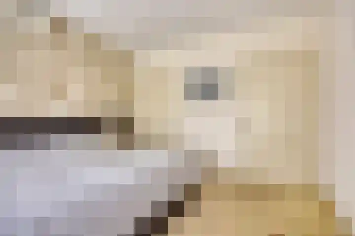 Damvelden 4 Best thumbnail 32