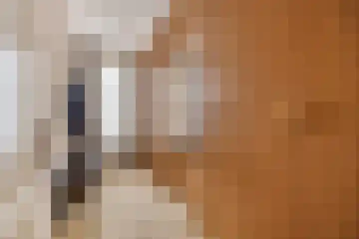 Damvelden 4 Best thumbnail 33