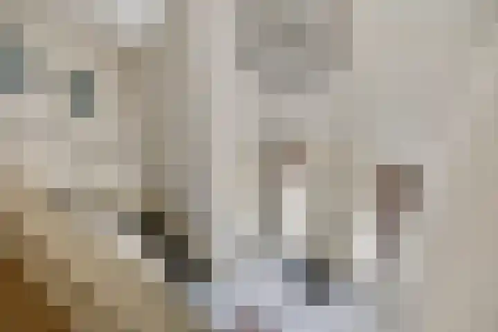 Damvelden 4 Best thumbnail 42
