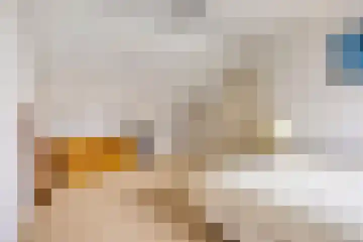Damvelden 4 Best thumbnail 44