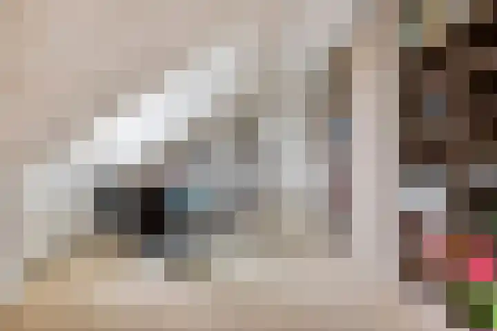 Damvelden 4 Best thumbnail 46