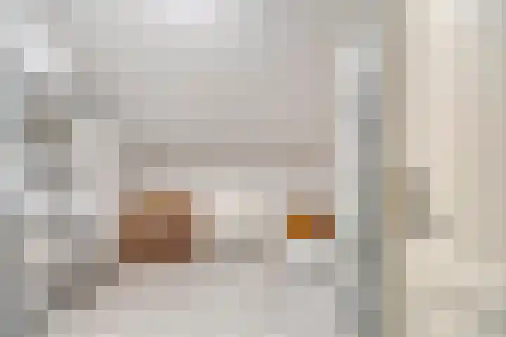 Damvelden 4 Best thumbnail 47