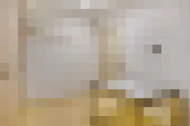 Damvelden 4 Best thumbnail 49