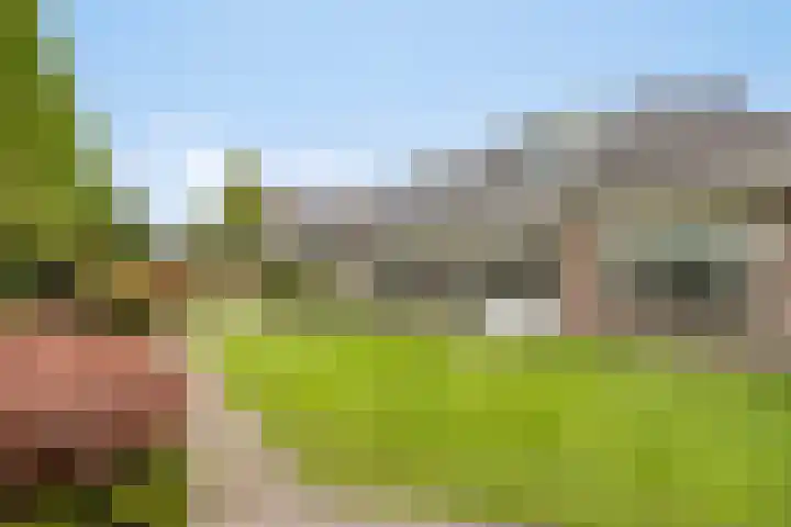 Damvelden 4 Best thumbnail 5