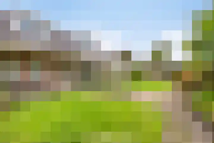 Damvelden 4 Best thumbnail 51