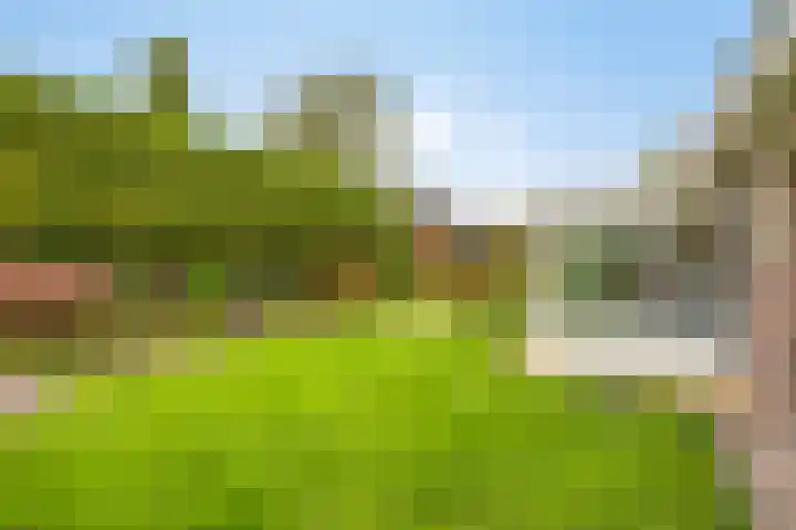 Damvelden 4 Best thumbnail 52
