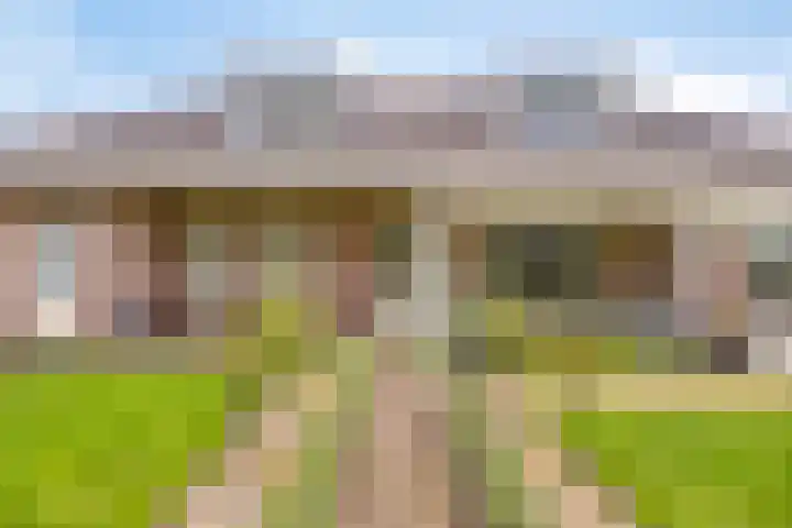 Damvelden 4 Best thumbnail 53