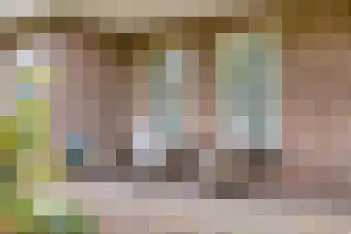 Damvelden 4 Best thumbnail 54