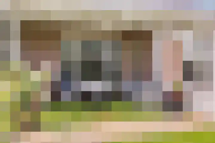 Damvelden 4 Best thumbnail 55