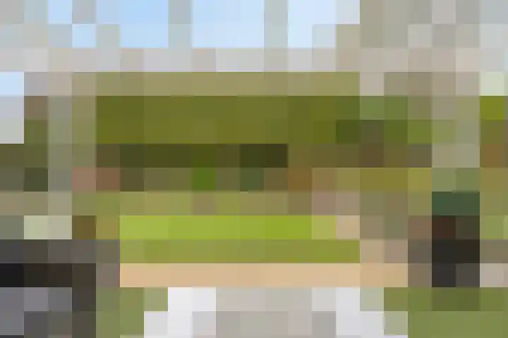 Damvelden 4 Best thumbnail 56