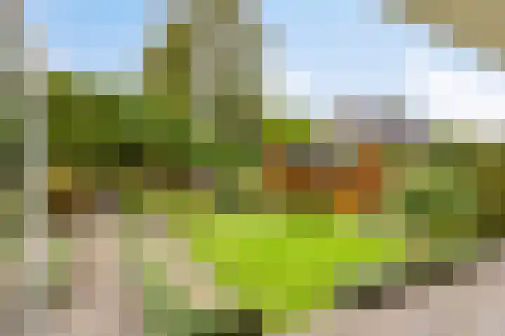 Damvelden 4 Best thumbnail 57