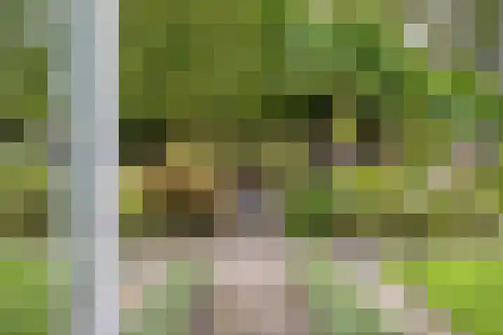 Damvelden 4 Best thumbnail 58