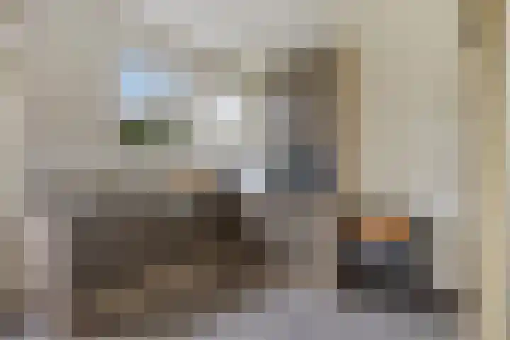 Damvelden 4 Best thumbnail 59