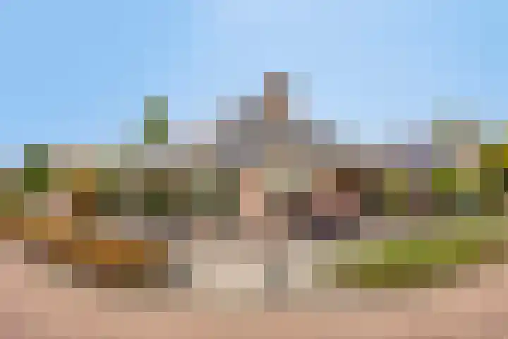 Damvelden 4 Best thumbnail 6