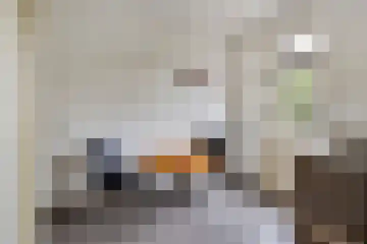 Damvelden 4 Best thumbnail 60