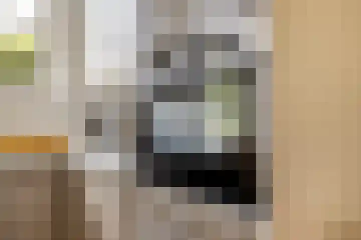 Damvelden 4 Best thumbnail 63