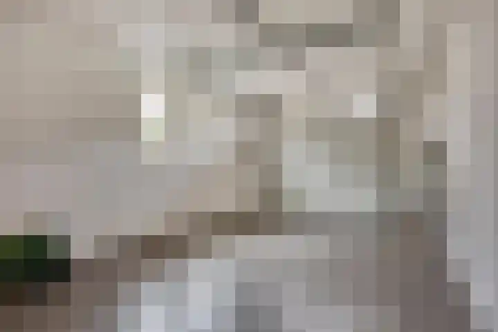 Damvelden 4 Best thumbnail 64