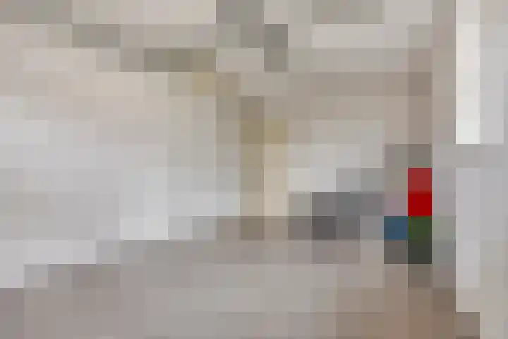Damvelden 4 Best thumbnail 65