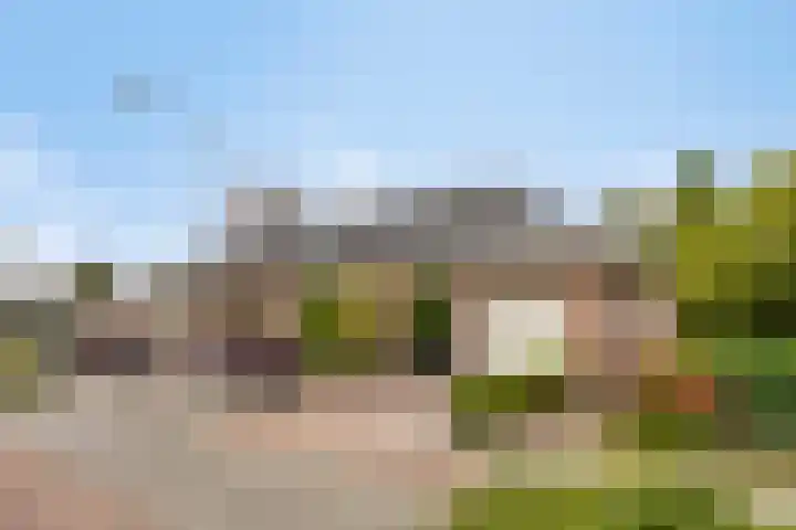 Damvelden 4 Best thumbnail 66