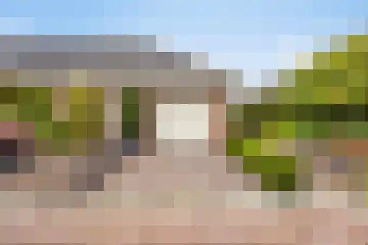 Damvelden 4 Best thumbnail 67