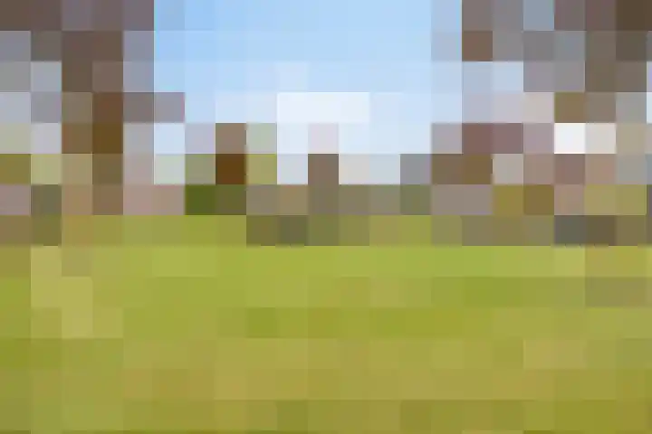 Damvelden 4 Best thumbnail 69