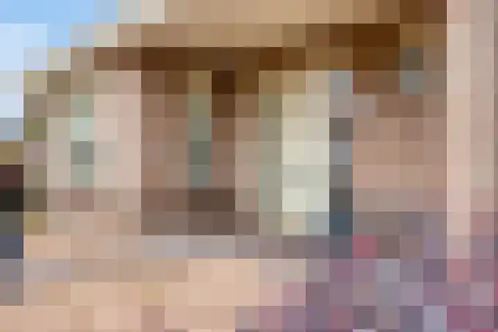 Damvelden 4 Best thumbnail 7