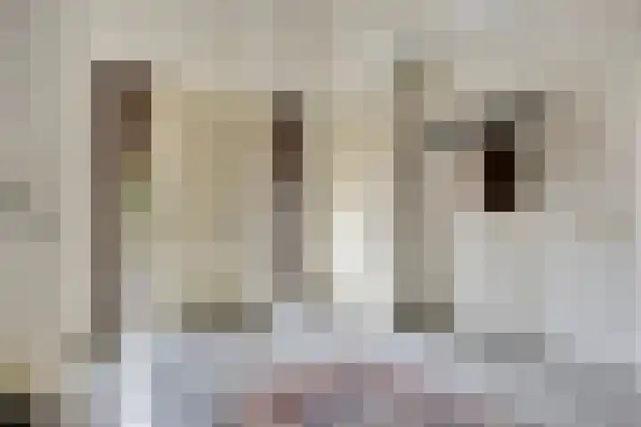 Damvelden 4 Best thumbnail 8