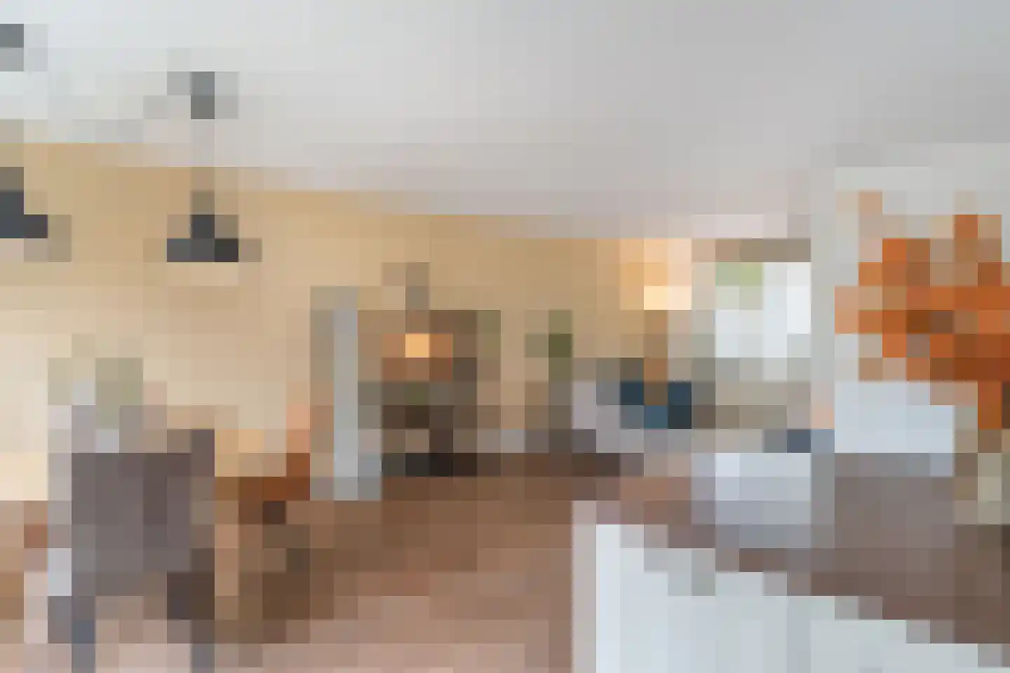 Damwand 18 Huizen thumbnail 14
