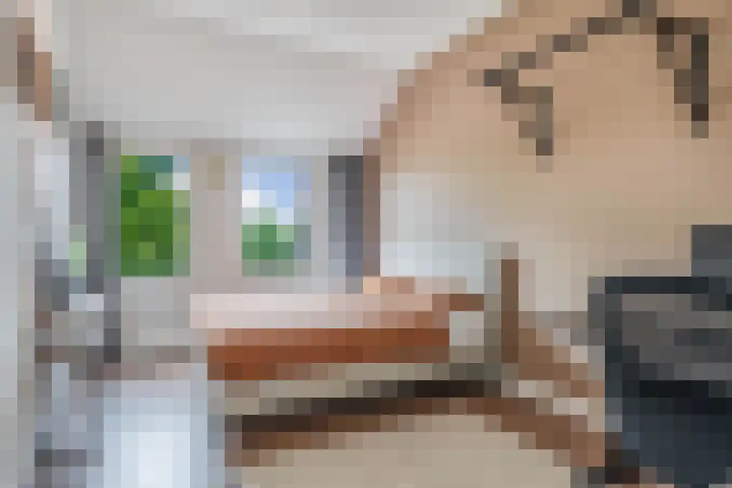 Damwand 18 Huizen thumbnail 19