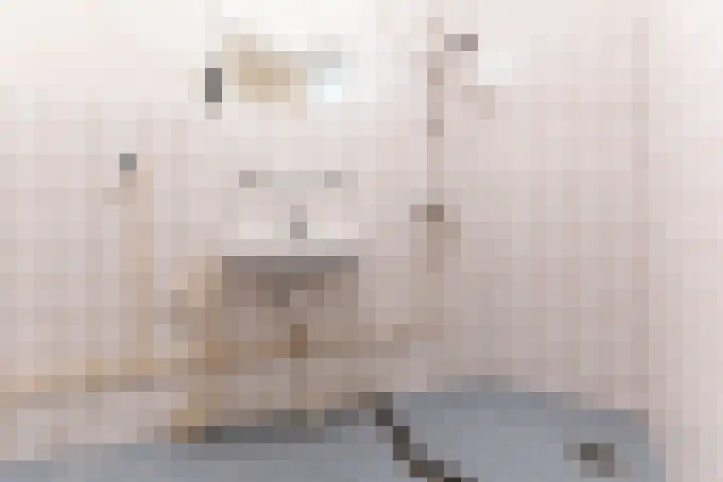 Damwand 226 Huizen thumbnail 11