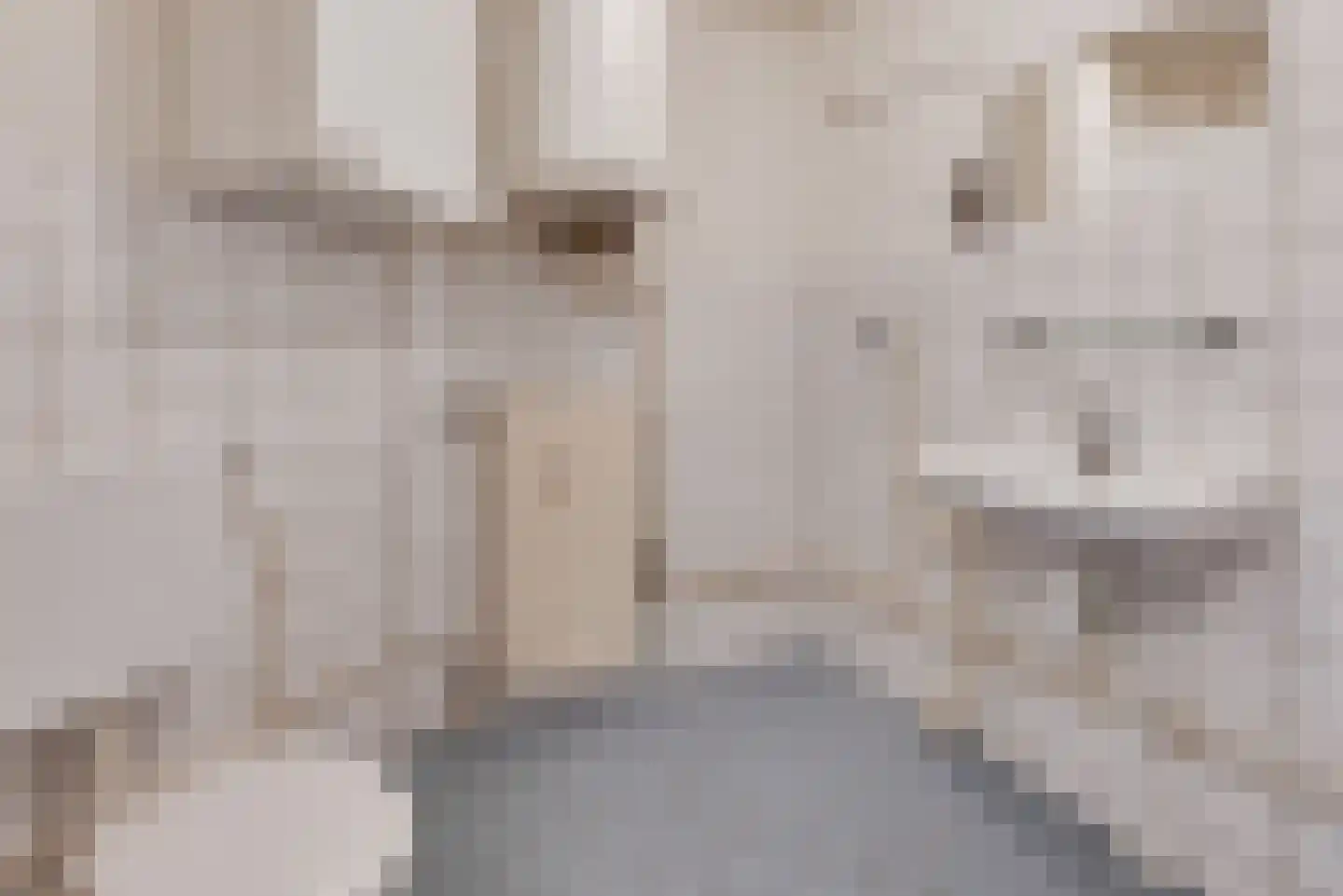 Damwand 226 Huizen thumbnail 12