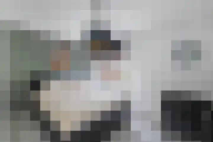 Damwand 42 Huizen thumbnail 5