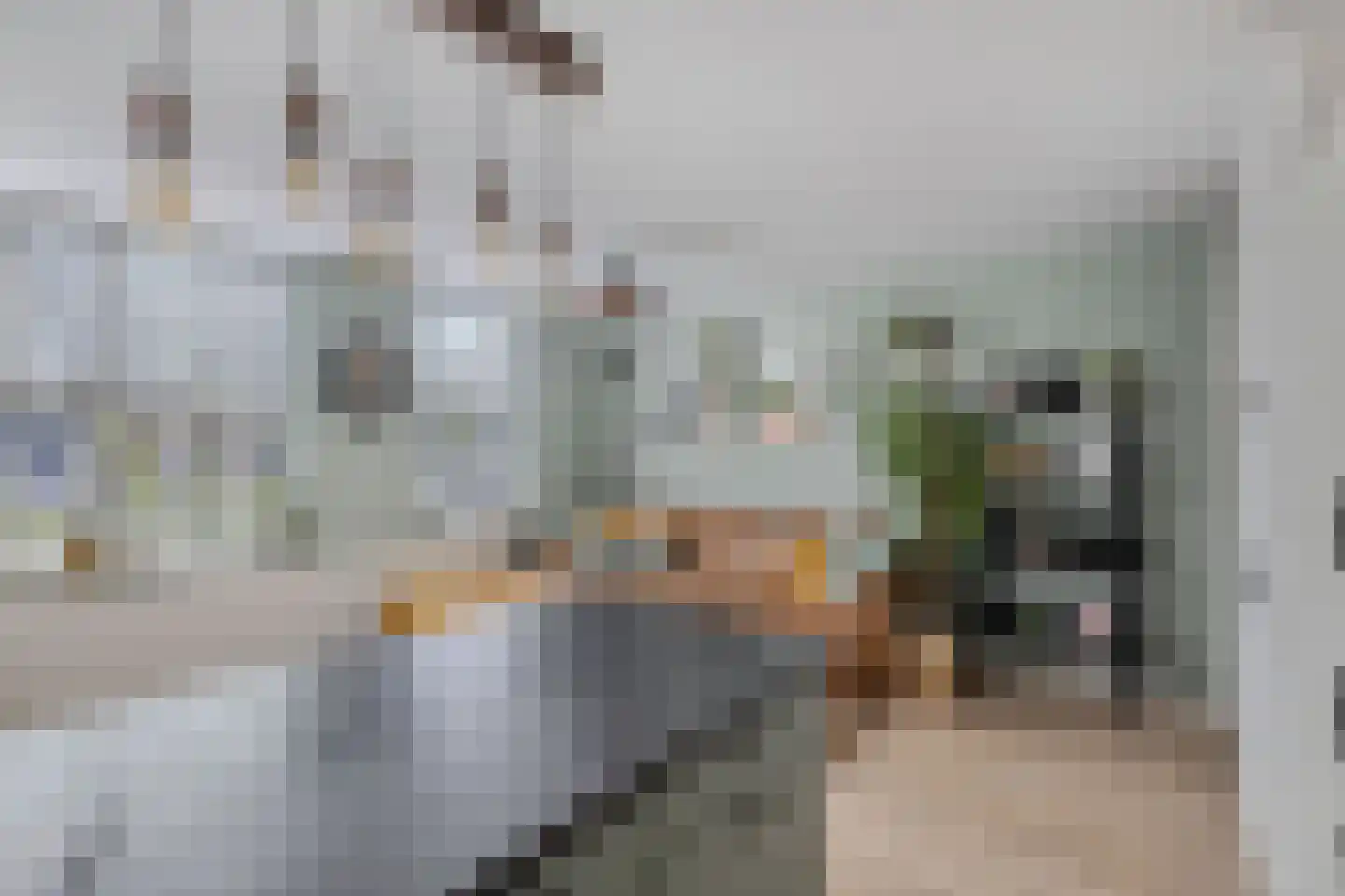 Damwand 48 Huizen thumbnail 12